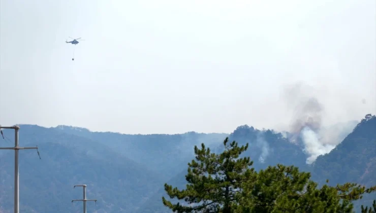 Bolu Göynük’te Orman Yangını Söndürme Çalışmaları Devam Ediyor