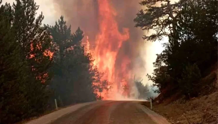 Bolu’nun Göynük ilçesinde ormanlık alanda yangın çıktı